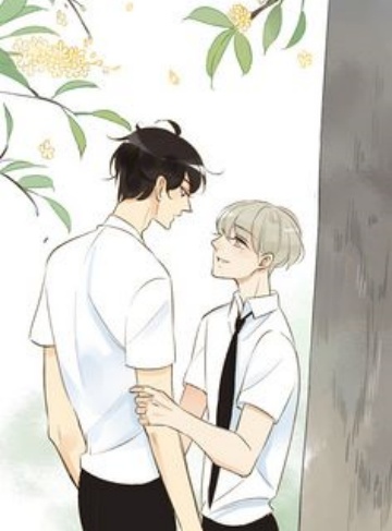 斗破：我是纳兰嫣然（以吾文采定笔）‌大神作家新作速递‌_追梦之路与爱恨纠葛的交织