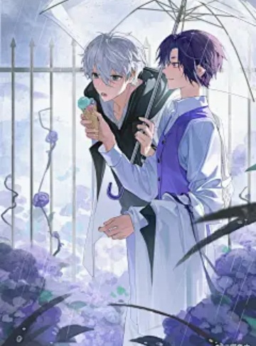 这个杀手有点财迷（幻想鱼）原创小说完整版阅读_财迷与情感交织的都市逆袭之路