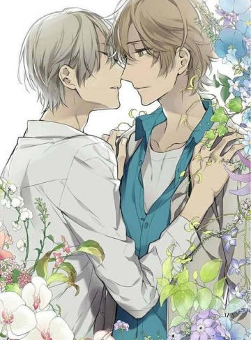 最后的净土（核心炎）‌全网首发小说资源‌_在喧闹城市中守护内心的宁静与爱的追寻