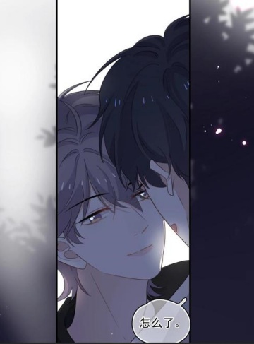 约克瑟的钥匙（猫先生咖啡馆）高分推荐小说排行榜_揭示秘密背后的人生之钥